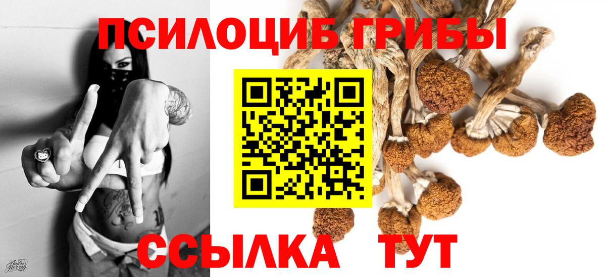 Псилоцибиновые грибы мицелий Гагарин
