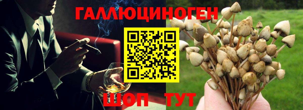 продажа наркотиков  Псилоцибиновые грибы мицелий  Вход с VPN  Гагарин 
